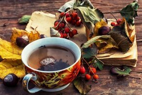 Почему 5 ноября – не совсем обычный день в России?