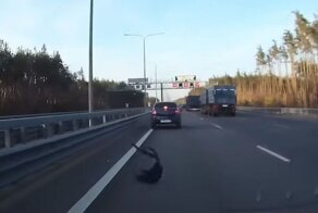 Неординарная ситуация на трассе: кусок покрышки повредил автомобили