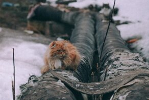 Вышний Волочек- это безнадега. Самый депрессивный город, в котором я когда-либо был. Фотоотчет