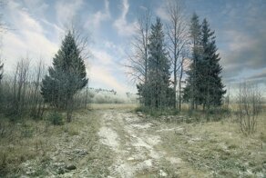 Зимние аномалии: почему в последнее время зимы в России становятся все теплее?