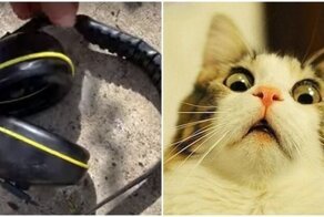 Будьте внимательны, когда надеваете наушники в Австралии