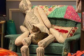 Как отреагирует кот, если с вами что-то случится