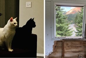 50 фото, на которые придется взглянуть дважды