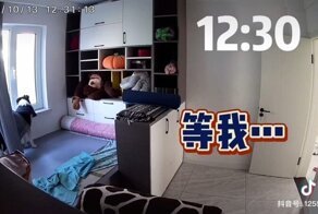 Хозяйка сняла на скрытую камеру то, как по ней скучает её пёс