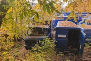 Отстойник списанных автомобилей «Почты России» в Москве