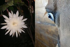 Крутые моменты, которые надо увидеть хотя бы раз в жизни!