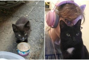 40 трогательных фото животных в стиле «тогда и сейчас»