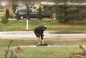 Гифки разные