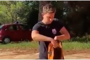 Незаменимый помощник