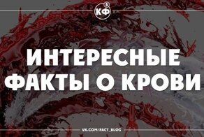 «Видишь кровь? Нет? А она там есть», или Самые необычные способы применения крови в промышленности
