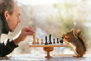 Фотоподборка со всякими зверушками