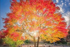 Интересные и прикольные  фото