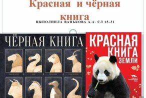 Топ интересных фактов