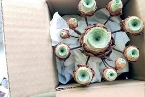 16 самых странных и необычных растений со всего мира