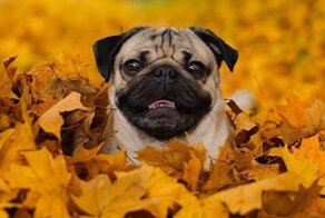 Фото: Неподдельные эмоции