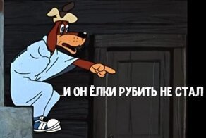 Пеньки и елки. Собаки и люди