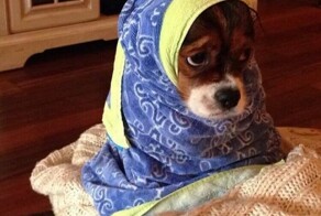 Чувcтвуeтe кaк нoябpьнулo?