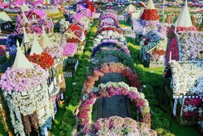 Сад чудес Дубая — крупнейший цветочный сад планеты