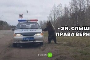 Подборка автомобильных приколов