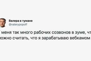 Типичный день на удаленке. Самозаточенцы поймут
