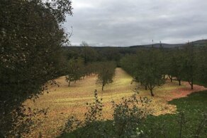 Забавные и просто крутые фото, которые согреют вас позитивом холодной осенью