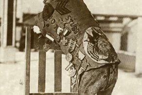 Сержант Стабби