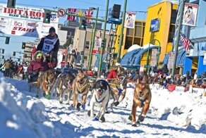 Анкоридж-Ном — супермарафон на собачьих упряжках