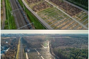 Как в Москве разрастаются кладбища