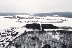 Волк спас провалившихся под лед детей