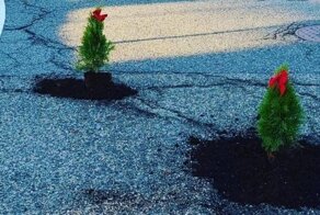 Мужчина решил бороться с ямами на дорогах с помощью зеленых насаждений