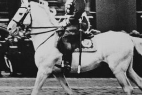 Почему Сталин не захотел принимать парад в 1945 году