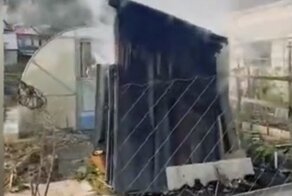 "Рыбу копчу, хариус": пожарные приехали тушить уличный туалет, но это оказалась коптильня