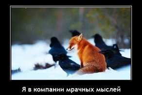 Демотиваторы: полиция, домашние питомцы и девушки