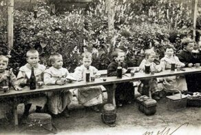 О программах начальной школы и винной культуре во Франции