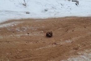 В российском городе дороги посыпали песком с кладбища