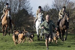 В британской традиционной охоте лису заменили человеком