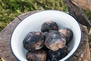 Картинки с запахами, при виде которых просыпается аппетит
