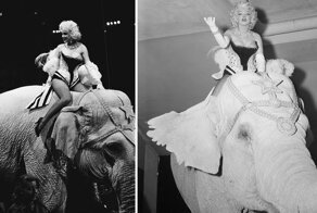 16 эффектных фото Мэрилин Монро верхом на розовом слоне