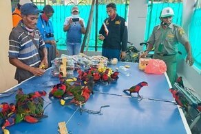 На борту корабля в Индонезии обнаружили попугаев в бутылках