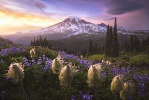 Пейзажи, захватывающие дух: победители конкурса Landscape Photographer Of The Year