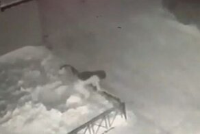Отряхнулась и пошла: после падения с четвертого этажа в сугроб шестилетняя девочка вернулась домой