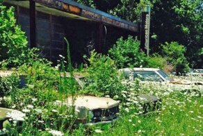 В заброшенном дилерском центре обнаружили сотни ржавых автомобилей, и их все еще можно купить