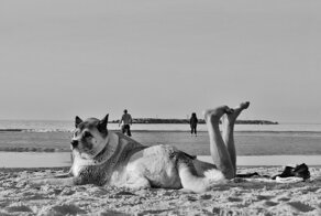 Забавные совпадения на уличных снимках Антимоса Нтагкаса