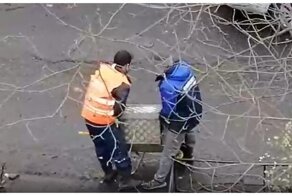 Хитрые коммунальщики сфотографировали урну для отчётности, а затем перевезли её в другое место