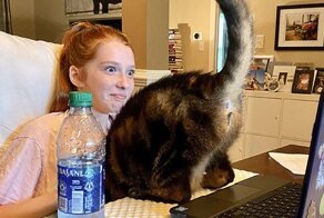 Сама наглость: коты, которые плевать хотели на нормы хорошего поведения