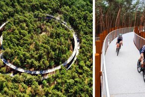 Велодорожка в Бельгии позволяет прокатиться по лесу на высоте 10 метров над землей