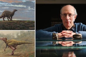 В Ирландии впервые обнаружили кости динозавра