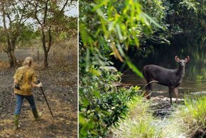 Пара 26 лет потратила на восстановление заповедника