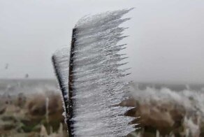 Невероятный зимний пейзаж в Чехии