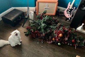С добрым утром!